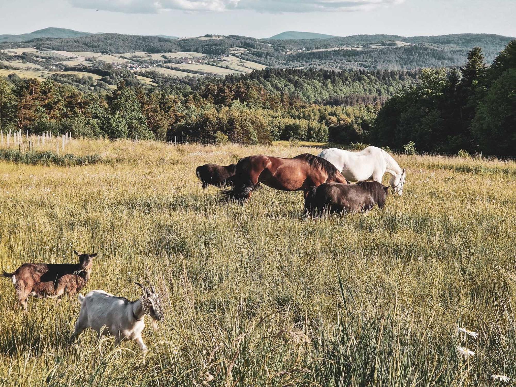Agroturismo Nomads' Hill - Dom Z Widokiem Na Gory Poraz